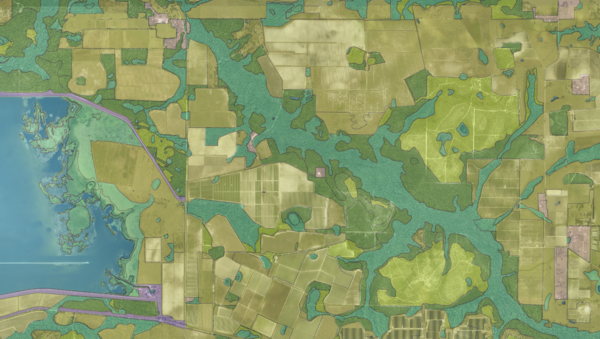 Land Cover 2023 Map Sample