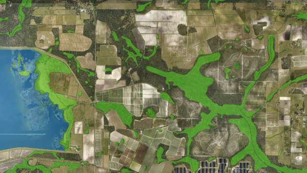 Wetlands NWI Map Sample