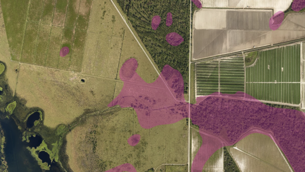 Soils Hydric Map Sample