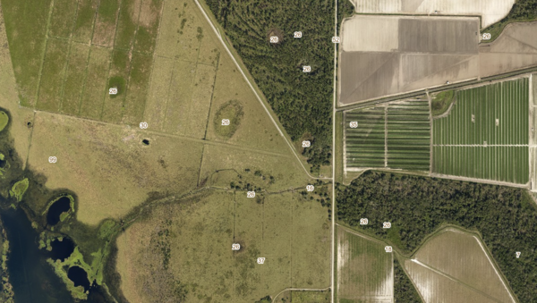 Soils MUSYM Labels Map Sample