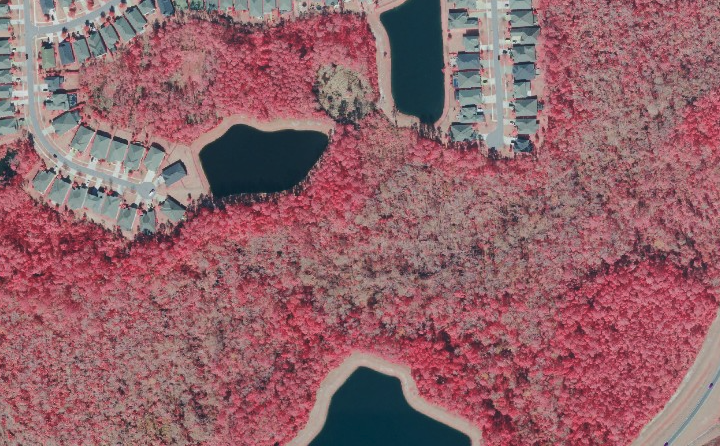 Aerial Photo 2023 NAIP Color Infrared Sample