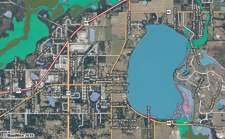 Wetlands Aerial Map Sample